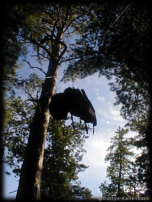 Food packs hanging high