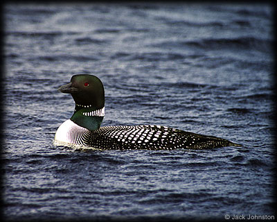 Boundary Waters