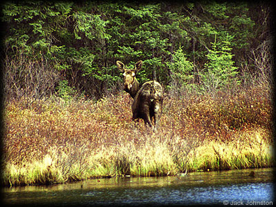 Boundary Waters