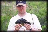 Pictured - Bluegill!