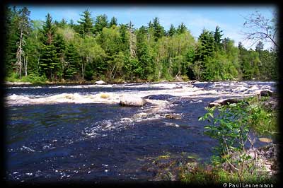 McAree Rapids