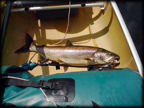 Quetico solo canoe trip ©Doug Clark