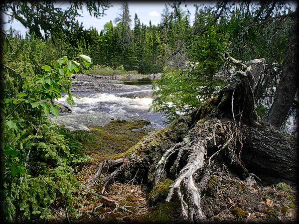 Quetico solo canoe trip ©Doug Clark