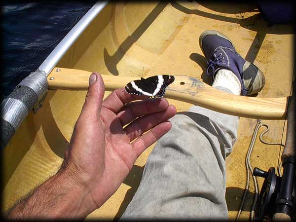 Quetico solo canoe trip ©Doug Clark