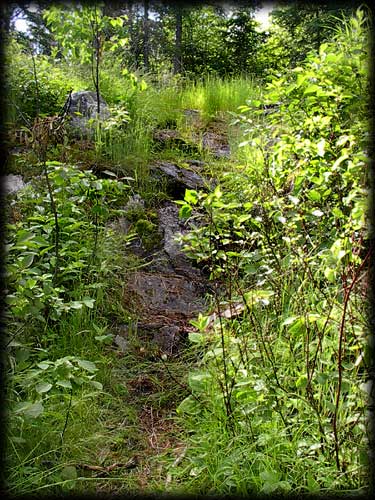 Quetico solo canoe trip ©Doug Clark