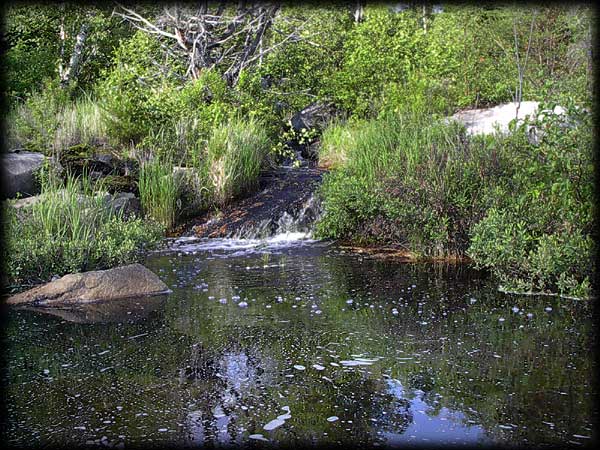 Quetico solo canoe trip ©Doug Clark