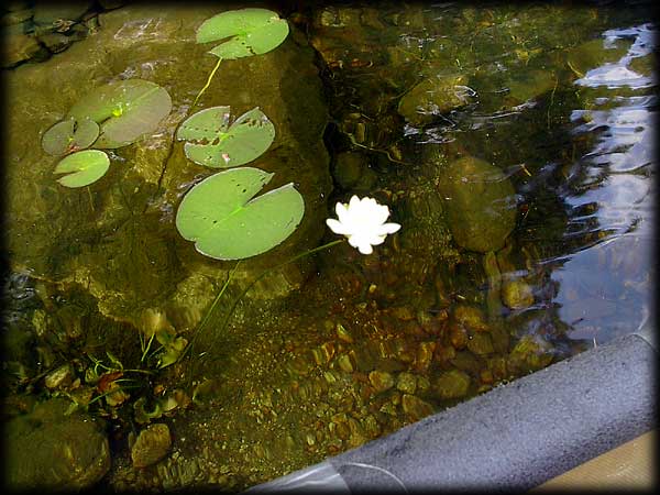 Quetico solo canoe trip ©Doug Clark