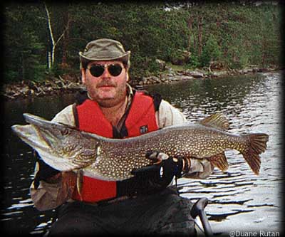 Northern Pike