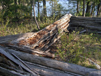 Abandoned Ranger's Cabin