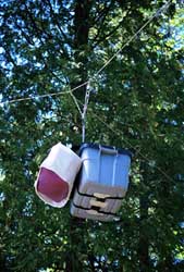 Food packs hung while fishing