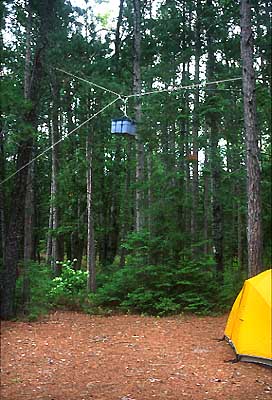 Hanging food in a BWCA/Quetico campsite