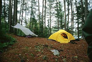 Tent and tarp