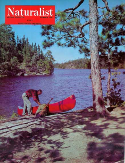 Canoe_Trip_Wilderness2.jpg