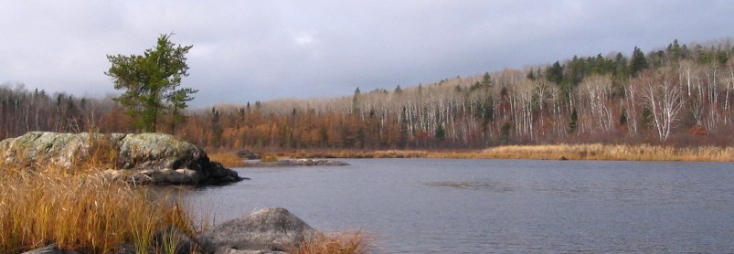 Jackfish_Bay_Crop1_2008_108.jpg