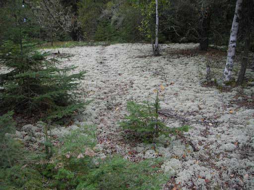 KeeperLake2005_013_resize.jpg