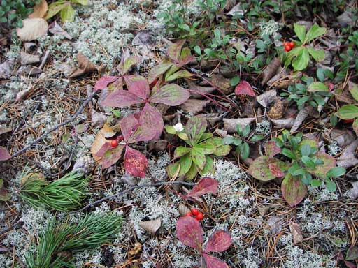 KeeperLake2005_014_resize.jpg
