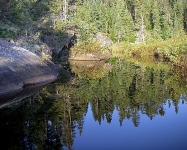 NEC_favorite_reflection_8x10__Small__001.jpg