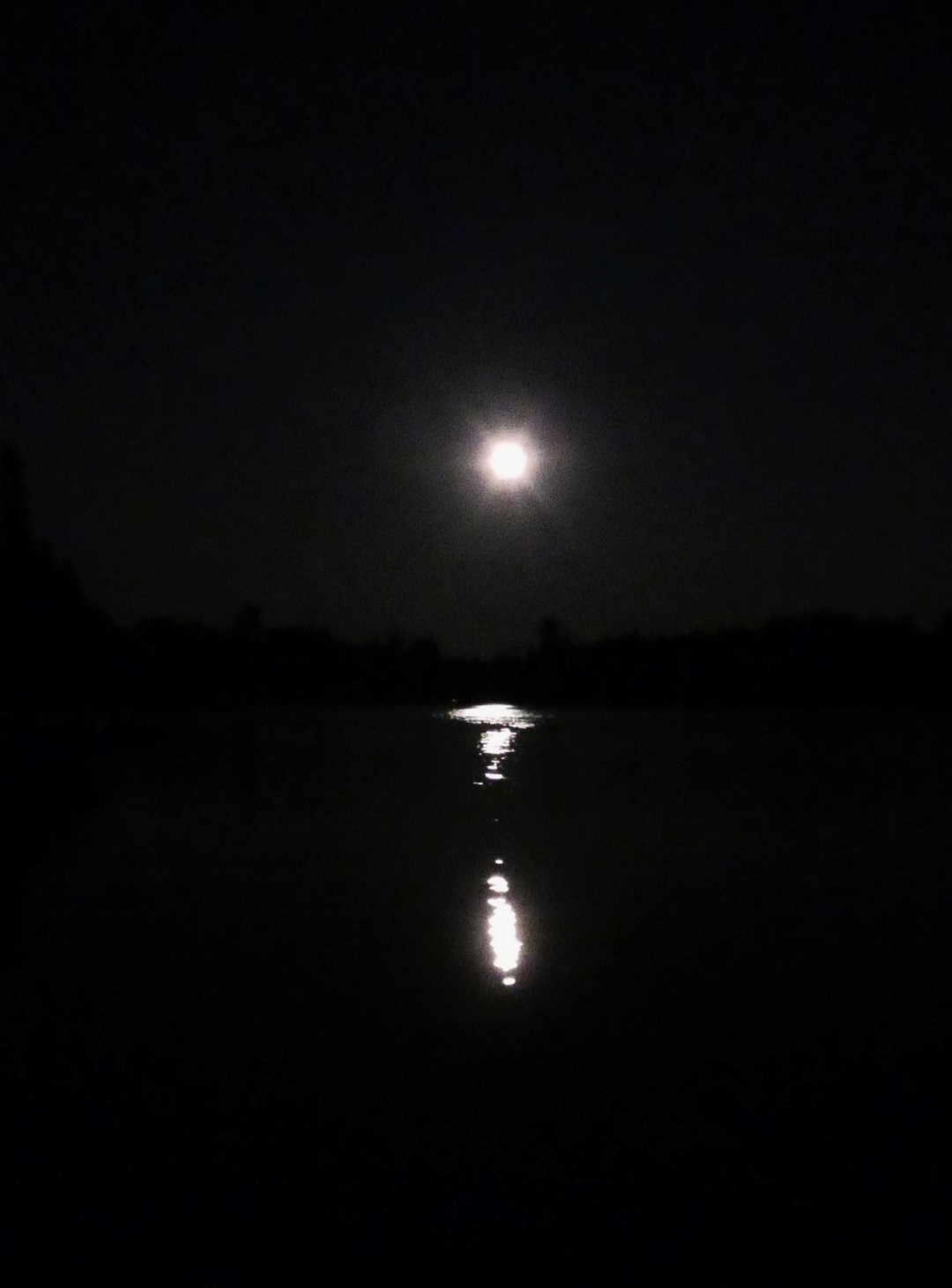 P1030164__2___Large_.JPG