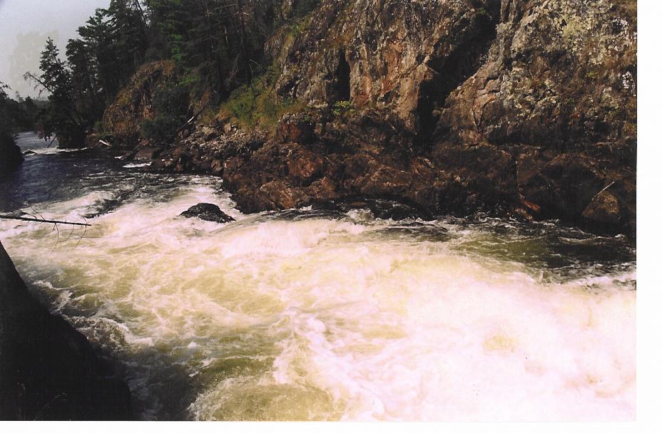 Picture_130.jpg