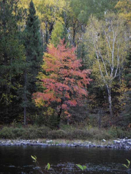 QueticoOct2007_092_resize.jpg
