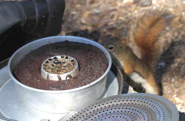 Squirrel_cake_11__Small_.jpg
