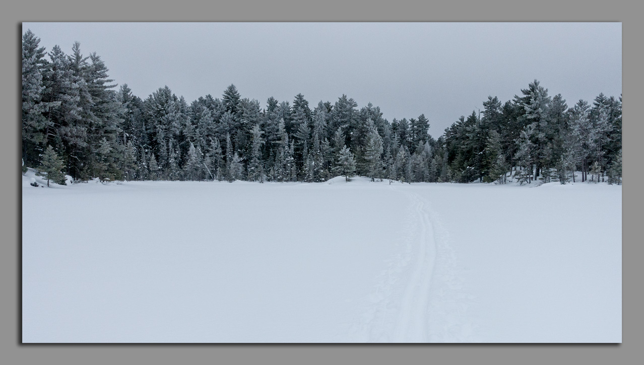 coxey1-26-20.jpg